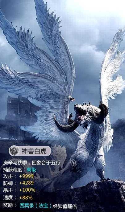 战锤：全面战争